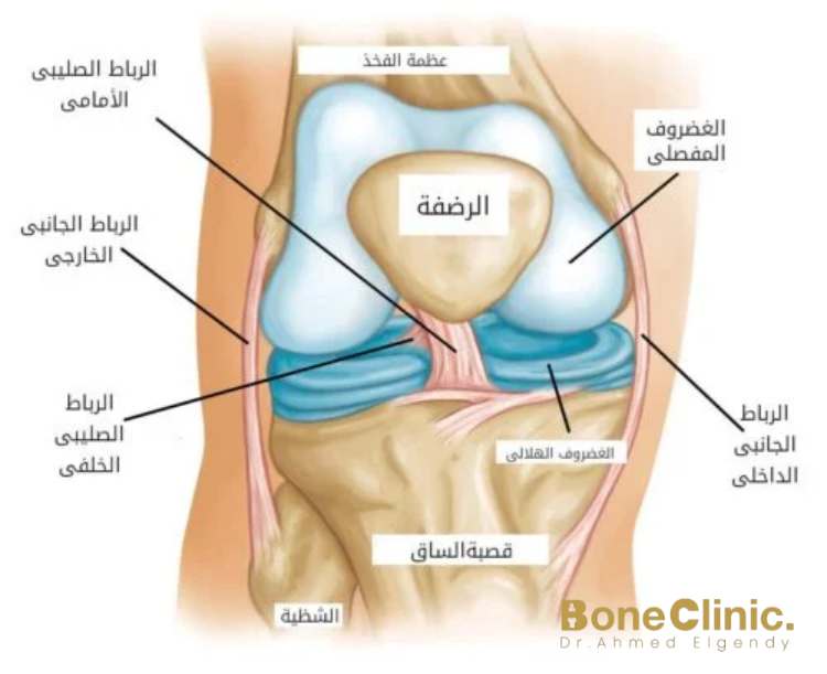 نوع المفاصل والأربطة المتضررة 