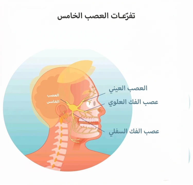 علاج العصب الخامس علاج العصب الخامس